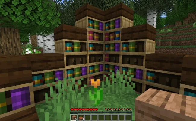 Новые книжные полки из мода Variant Chiseled Bookshelves