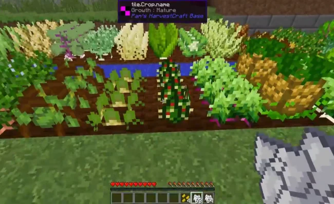Грядки с новыми растениями из мода Pams HarvestCraft