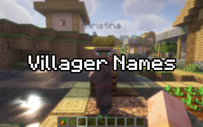 Мод на мобов для Майнкрафт 1.21.11 / 1.20.6 (Villager Names)