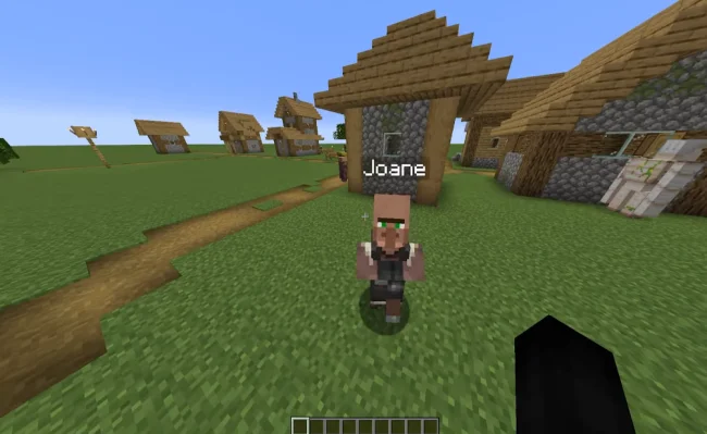 Плашка имени мирного жителя из мода Villager Names