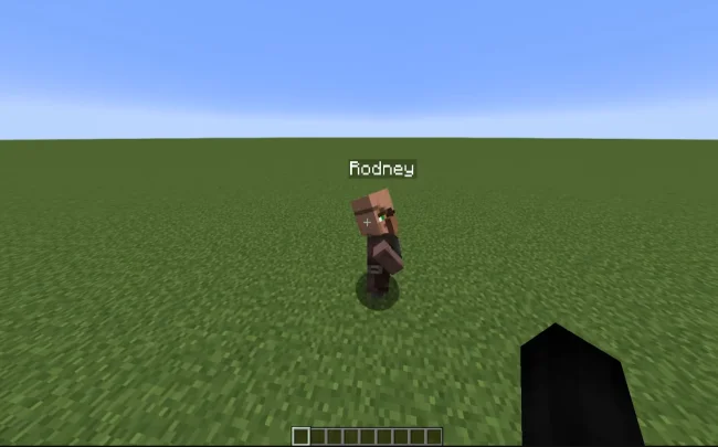 Плашка имени разбойника из мода Villager Names