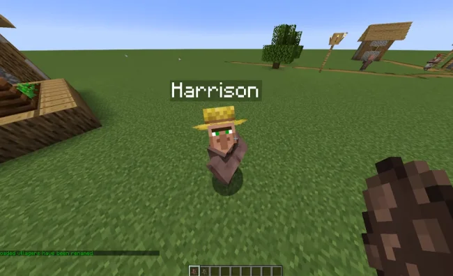 Плашка имени фермера из мода Villager Names