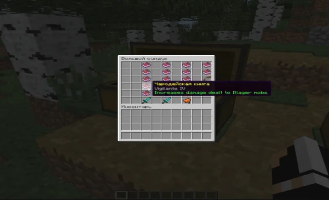 Новые книги из мода Ensorcellation