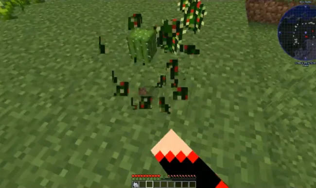 Процесс сбора кактуса из мода Pams HarvestCraft 2 - Crops