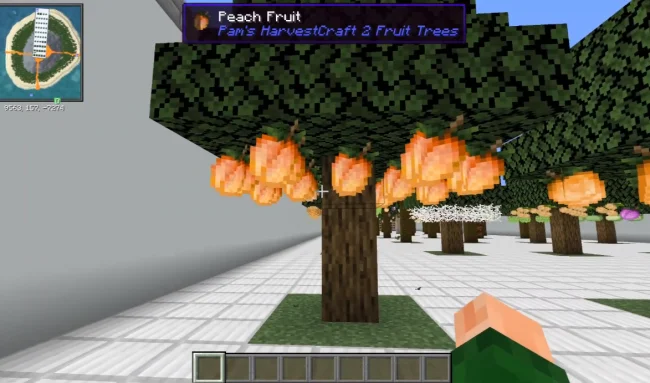 Персиковое дерево из мода Pams HarvestCraft 2 - Trees